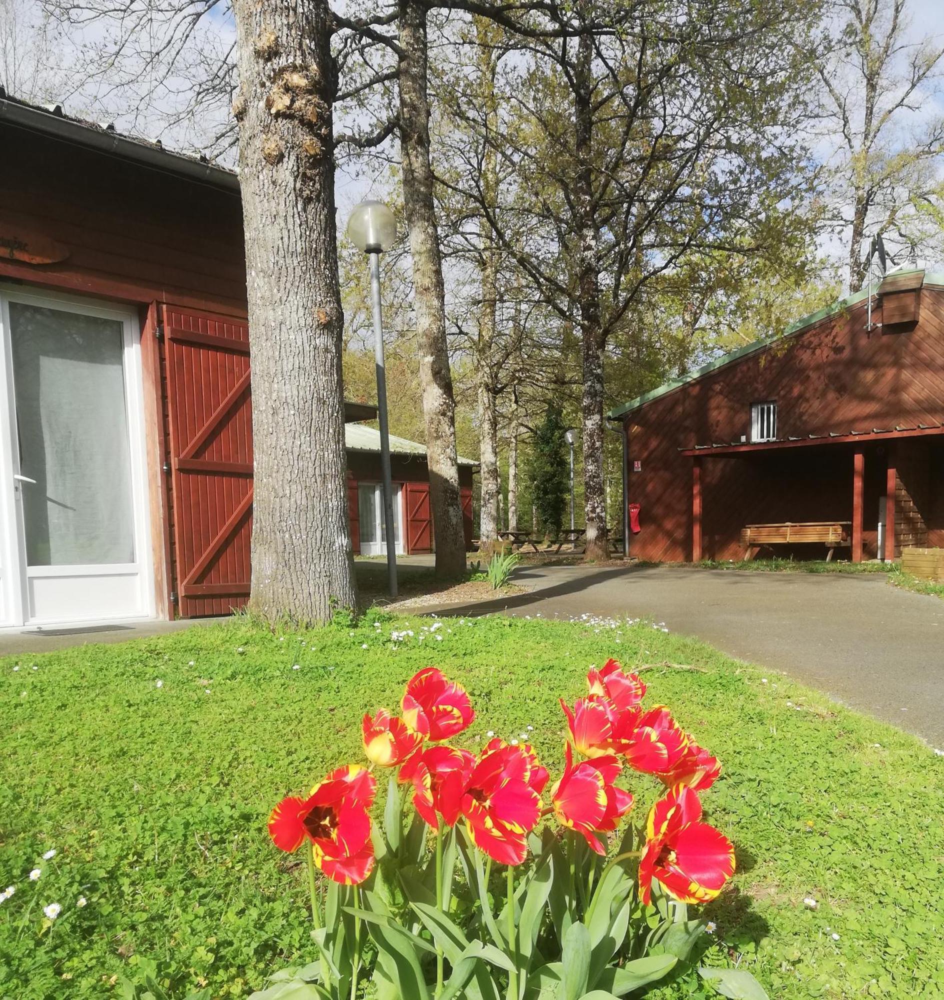 Chalets Mouliere Evasion Montamisé Exterior photo